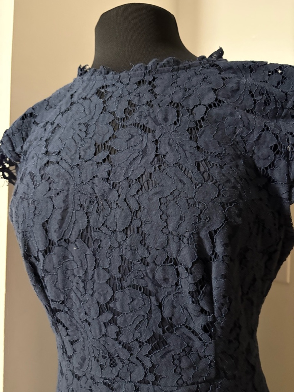 Beautiful Navy Blue Lace Fit & Flare Dress